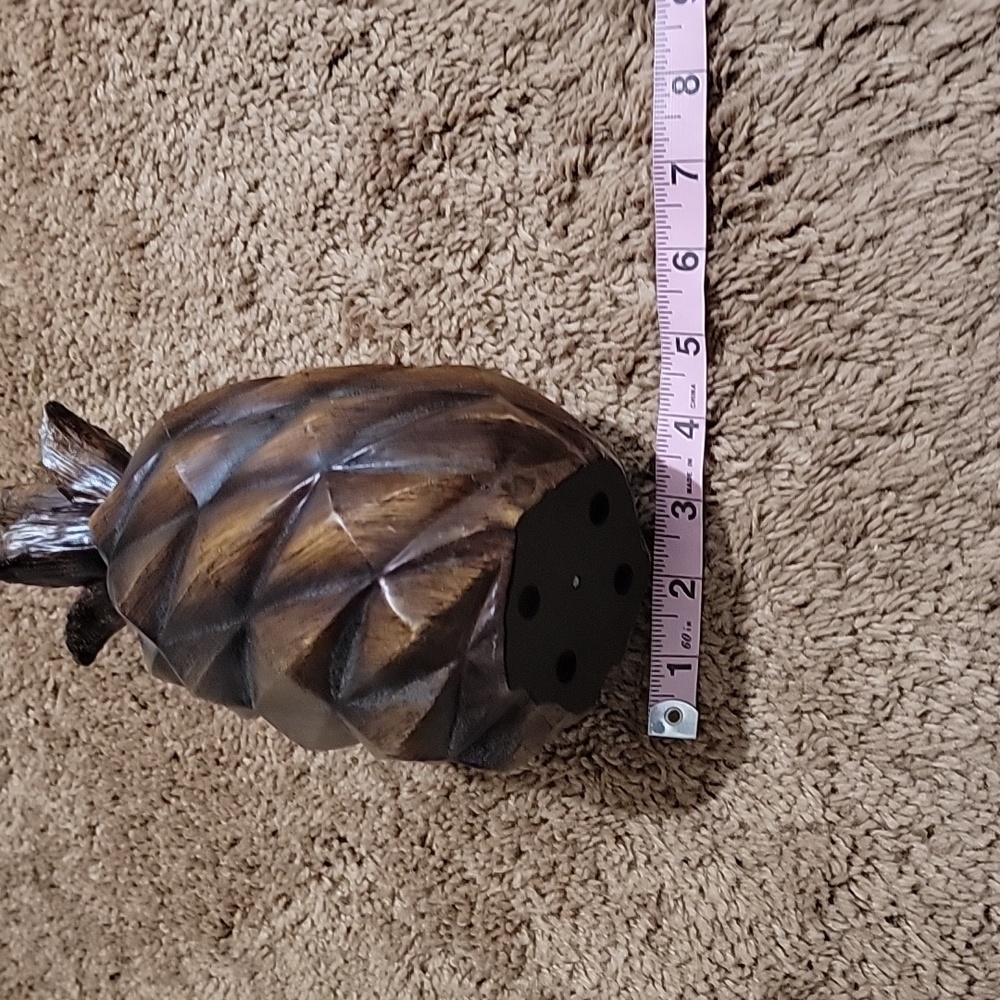 Pineapple - Picture 5 of 5